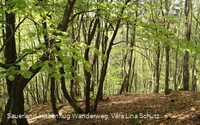 NSG Heideköppel