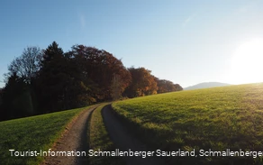 Wanderweg oberhalb von Niedersorpe