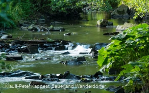 Die Orke bei Medebach-Medelon