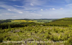 Blick vom Blackshahn nahe Waldeshöhe auf dem Sauerland-Höhenflug