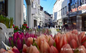 Shoppingmeile Innenstadt.jpg