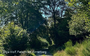 Liesetalweg (L3) Liesen Liesetalweg (L3) Liesen