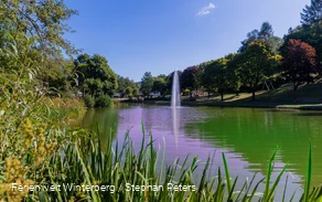 Ein See mit einer Fontäne in der Mitte umgeben von Wiesen, Sträuchern und Bäumen.