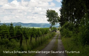 Ankunft am Wanderparkplatz "Am Brande"