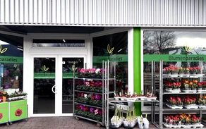 Foto Blumenparadies.jpeg