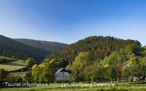 Herbstlandschaft in Willingen-Schwalefeld