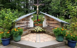 Dörnschlade