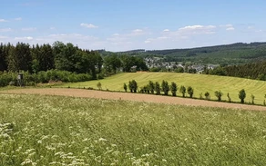 Rundwanderweg Rundwanderweg
