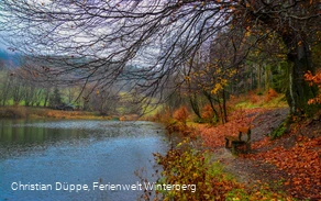 See Hildfeld Herbst
