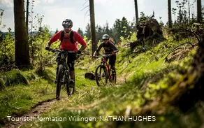 2 Mountainbiker fahren am Wald entlang