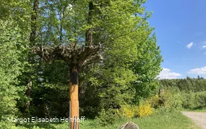Rastplatz Jägerfichte
