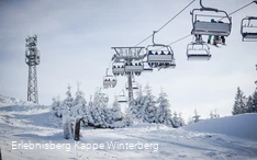 Sneeuw in Winterberg.jpg