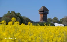 Motte