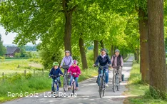 Fietsersfamilie rijdt door een laan