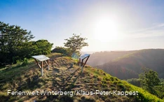 Uitkijkpunt met informatieborden