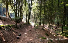 Der Schlüsenpfad bei Drolshagen