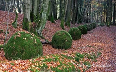 Kunstwerk aan de kant: Groene planeten
