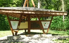 Natuurbelevenis bos Meerhof