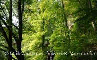 Zuweg Sauerlandroute
