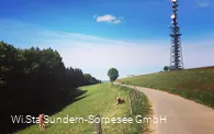 Der Schombergturm