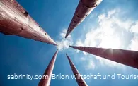 Waldreichtum und Brotbaum der Stadt Brilon