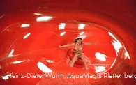 Erlebnisbad und Rutschen-Gigant AquaMagis