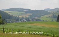 Blick_auf_Calle_02 (Foto Tourist-Information Meschede).JPG