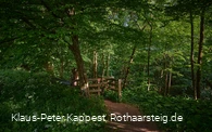 Pfad ins Helletal in Winterberg
