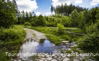 Wasserfurt im Schwarzbachtal