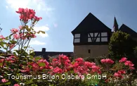 Rosendorf