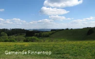 Aussicht auf Wiese