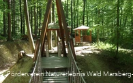 Naturerlebnis Wald Meerhof - Hängebrücke