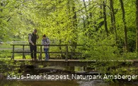 Entdeckungen auf der Sauerland-Waldroute