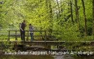 Entdeckungen auf der Sauerland-Waldroute