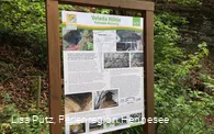 Infotafel an der Veleda Höhle in Bestwig-Velmede