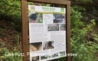 Infotafel an der Veleda Höhle in Bestwig-Velmede