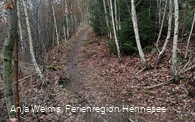 Weg den Küppel hinauf, Freienohl, F2, F3