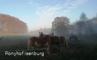 Mitten in schöner Natur liegt der Ponyhof