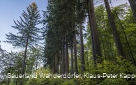 Sauerland-Seelenort Himmelssäulen