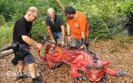 Aufbau Parcours