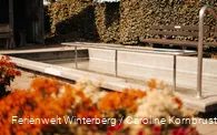 Ferienwelt Winterberg_2022_Herbst_Carography (159).jpg