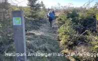 Wandergruppe im Januar auf der Sauerland-Waldroute