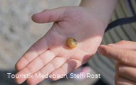 Kleine Naturentdecker unterwegs in Medebach