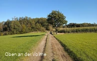 Wanderwegabschnitt VolmeSchatz Sagen auf dem Arney bei Kierspe