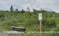 Trimm dich Pfad 1