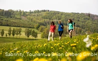 Wandern in Olsberg