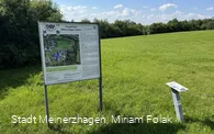 20240624 Discgolf Landhaus Nordhelle (5).jpeg