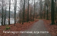 Wegbeschaffenheit Wogenweg am Hennesee