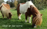 Zutraulich und liebevoll