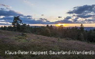 Heidelandschaft bei Sonnenuntergang 